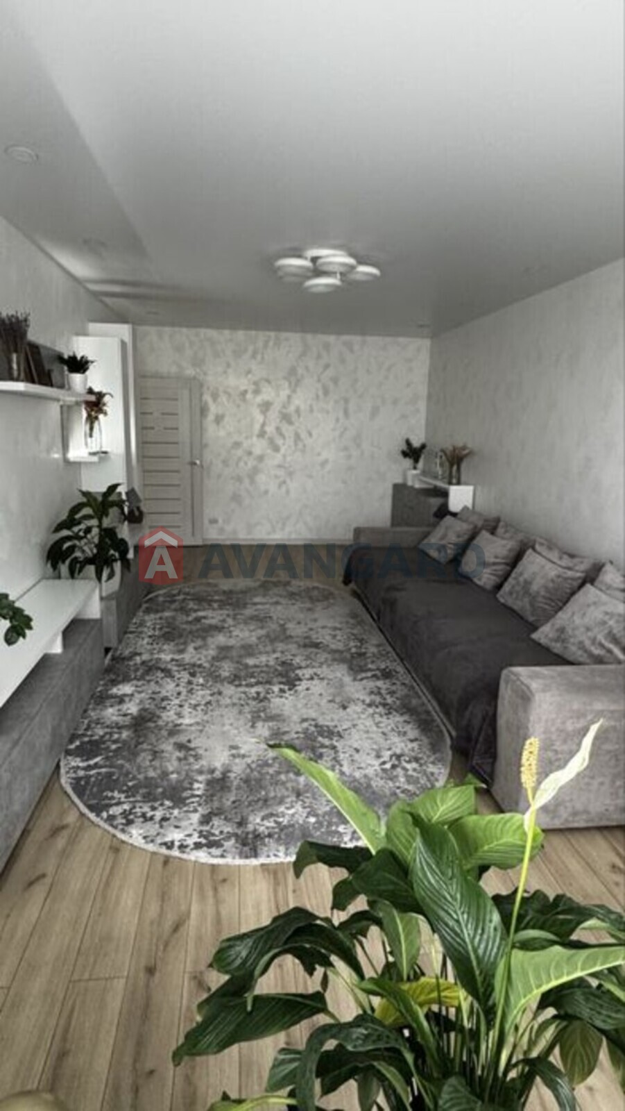 3 . , 97/-/17 . ., 10/10   6