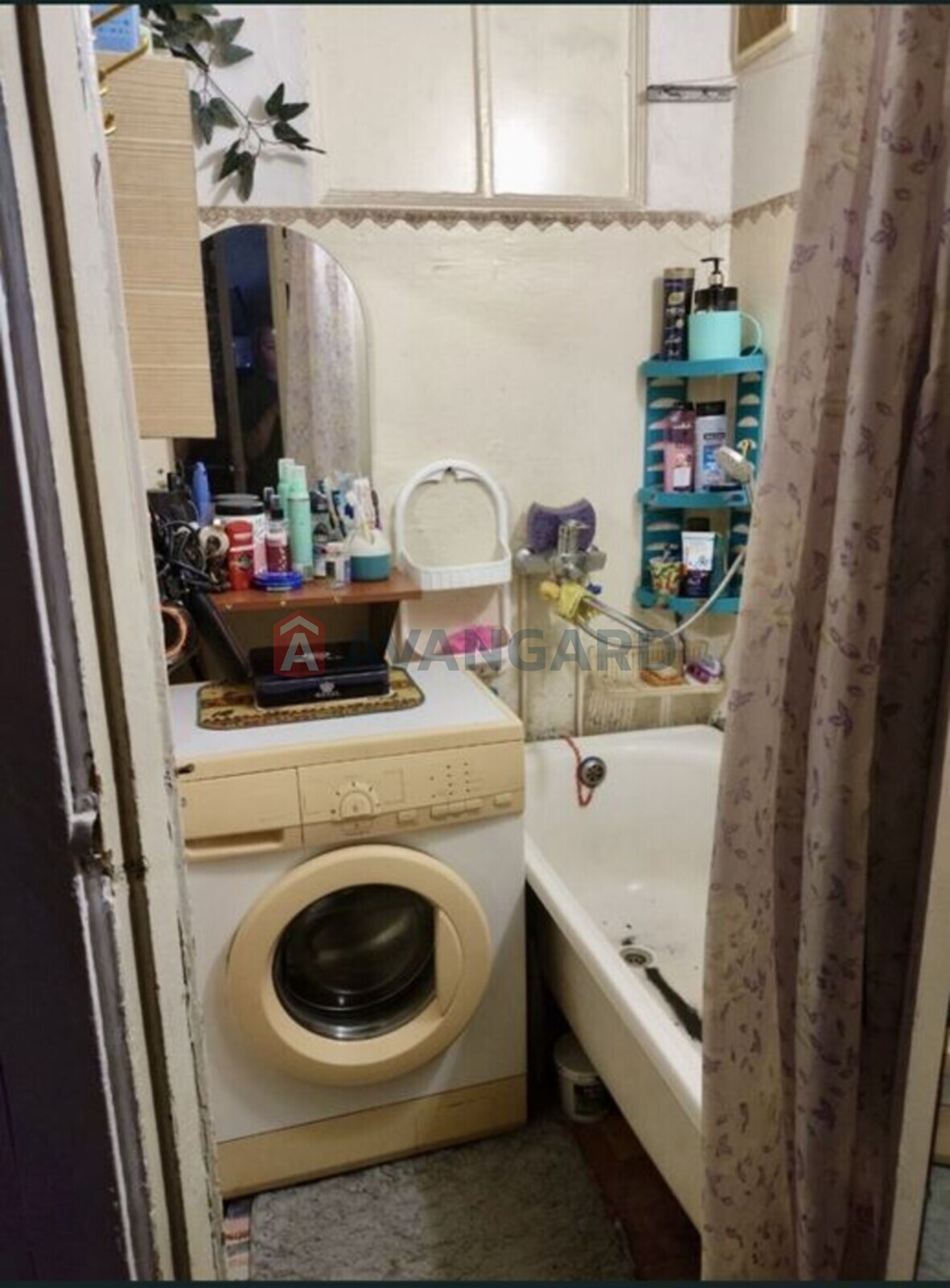 3 ��. ��������, 54/-/6 ��. �., 5/5 ������ ���� 6