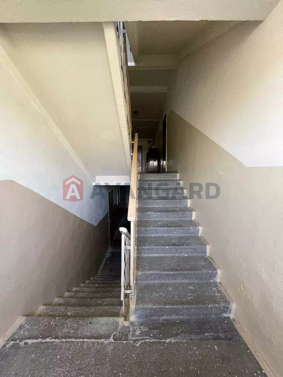 3 ��. ��������, 53/-/6 ��. �., 10/10 ������ ���� 8