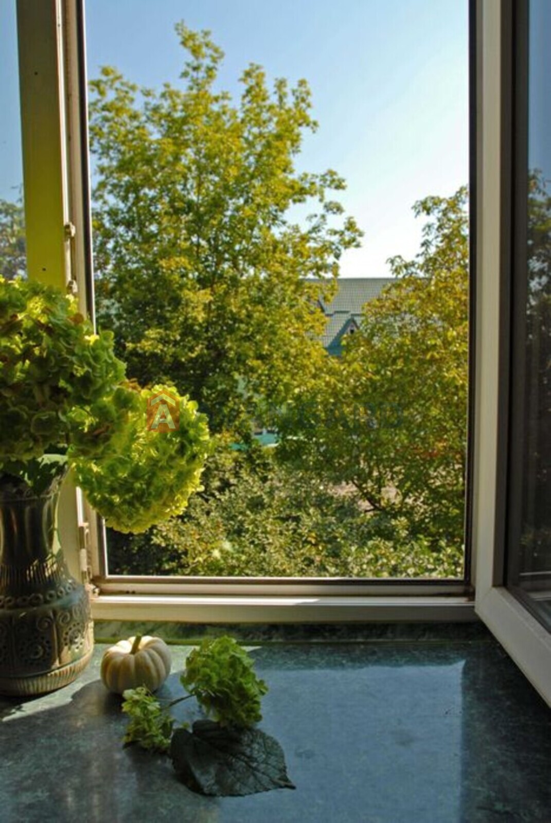 3 . , 50/-/6 . ., 3/3   19