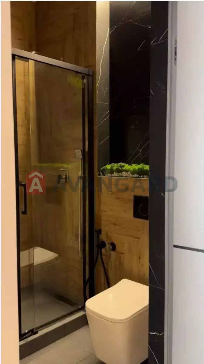 2 ��. ��������, 50/-/20 ��. �., 8/24 ������ ���� 16