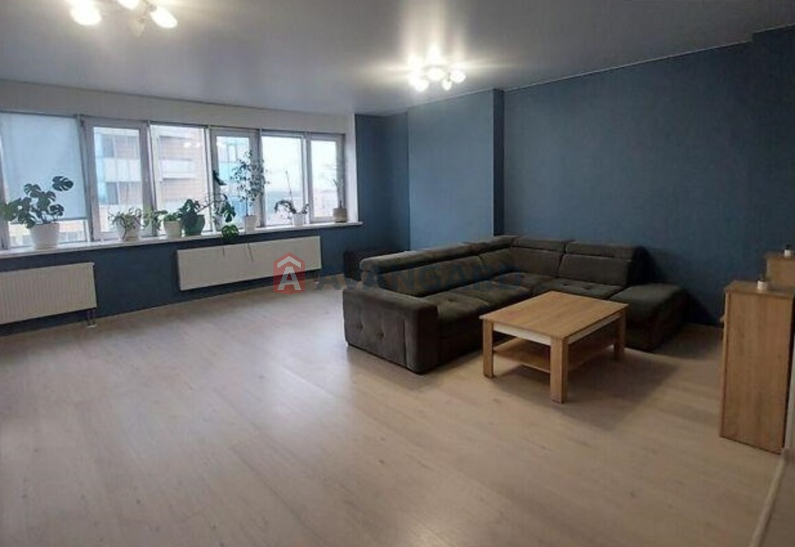 2 ��. ��������, 81/-/- ��. �., 17/25 ������ ���� 5