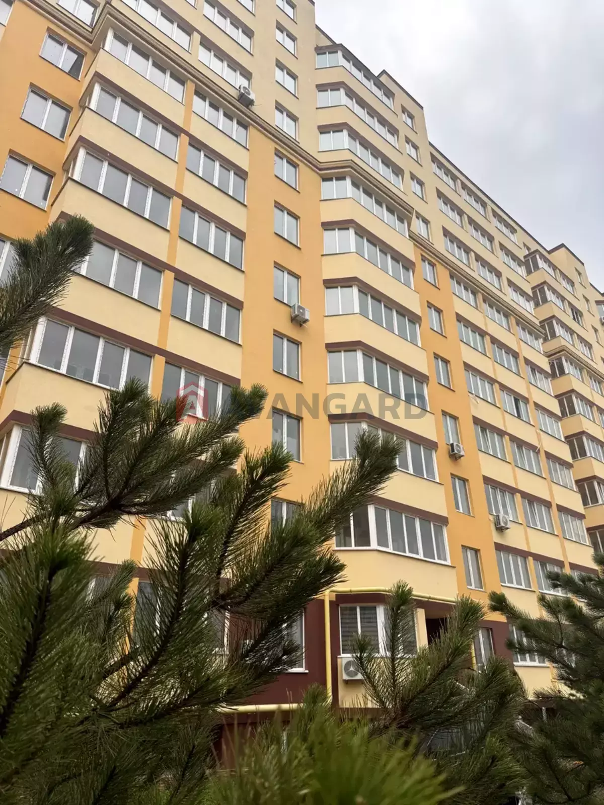 2 ����. ��������, 58/-/12 ��. �., 8/10 ���� ���� 15