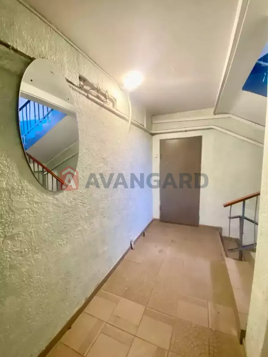 3 ����. ��������, 65/-/8 ��. �., 3/9 ���� ���� 19