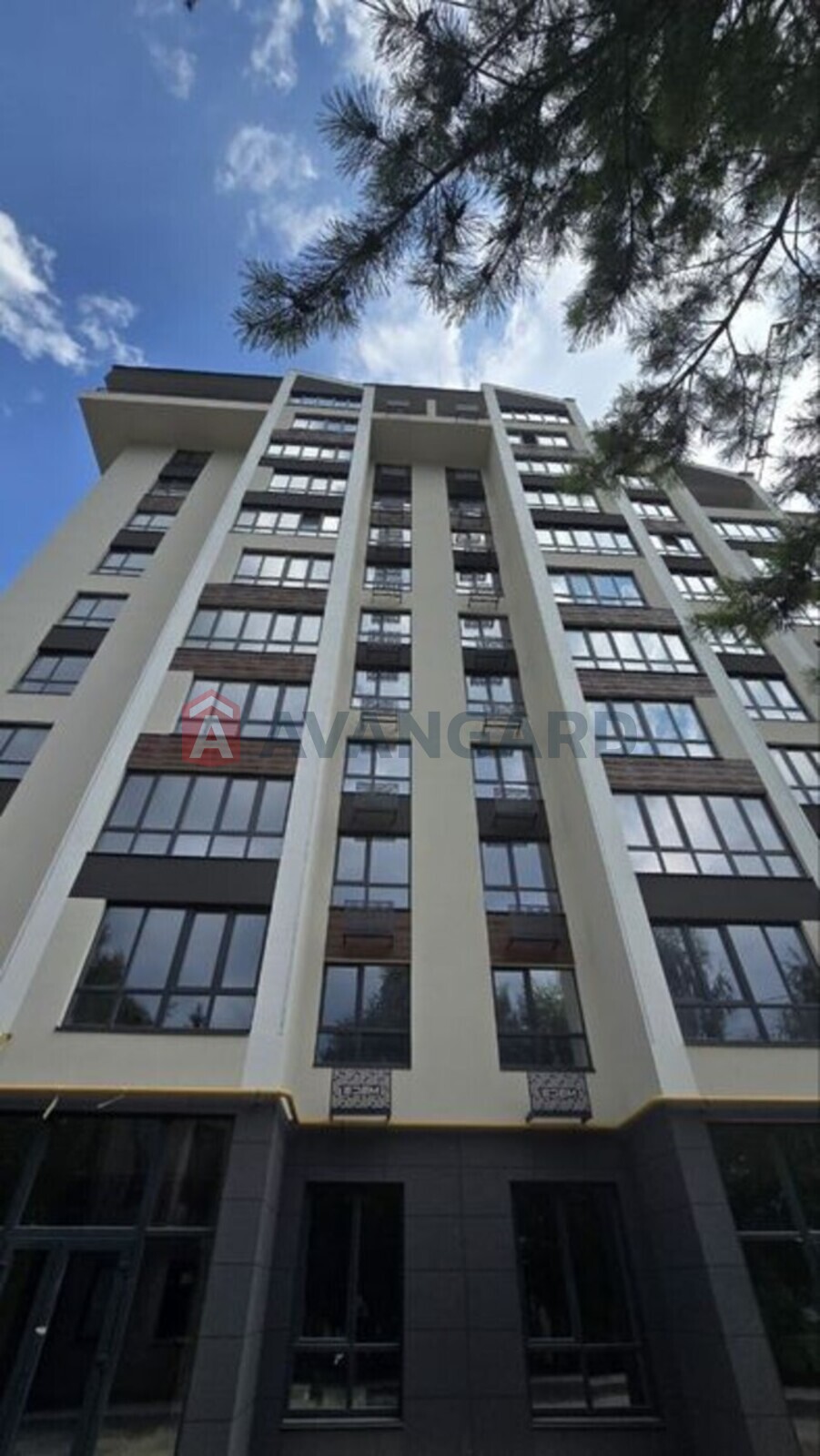 2 ��. ��������, 62/-/12 ��. �., 8/10 ������ ���� 1