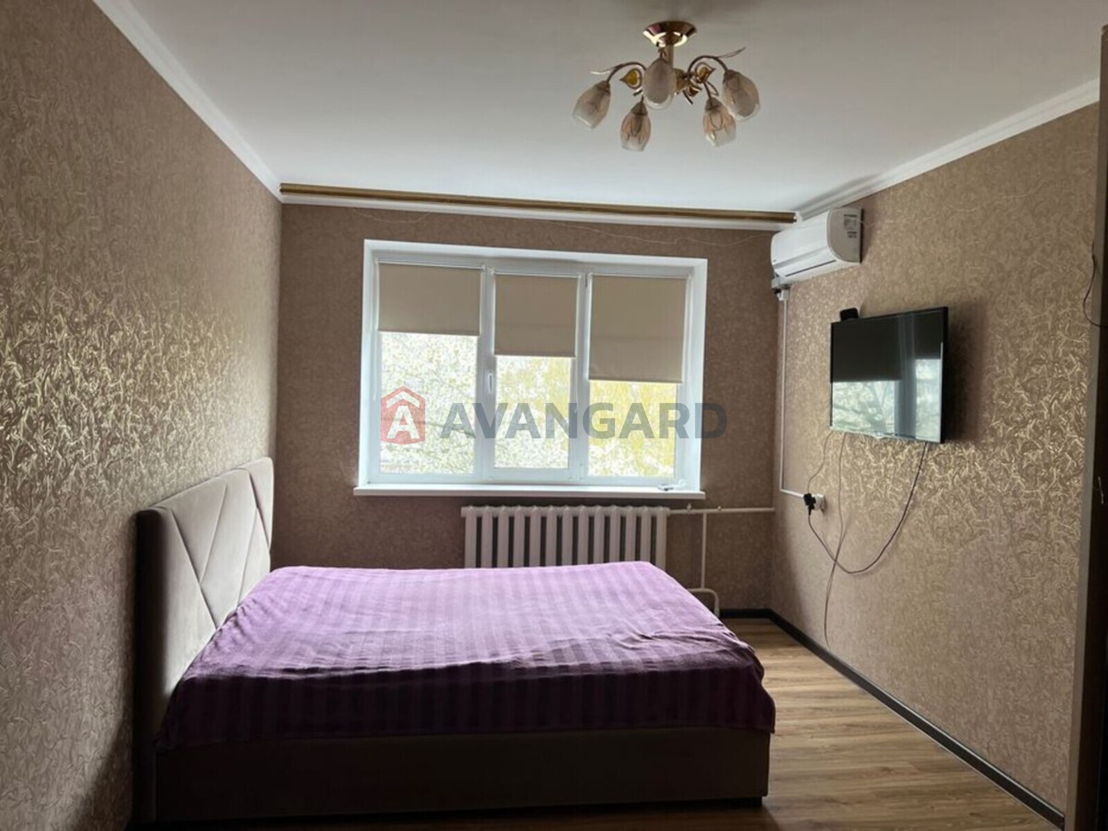 2 ��. ��������, 48/-/5 ��. �., 5/5 ������ ���� 2