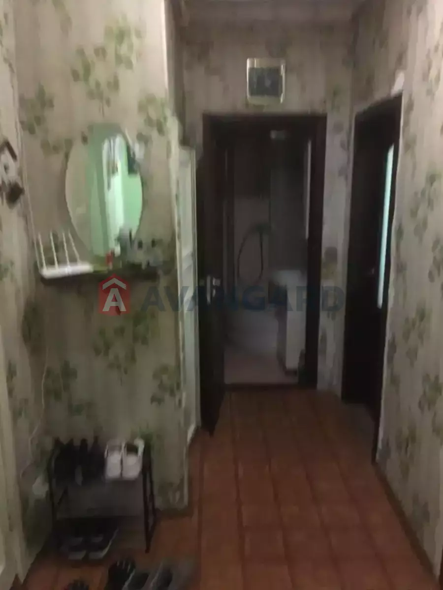 1 ����. ��������, 36/-/8 ��. �., 1/2 ���� ���� 8