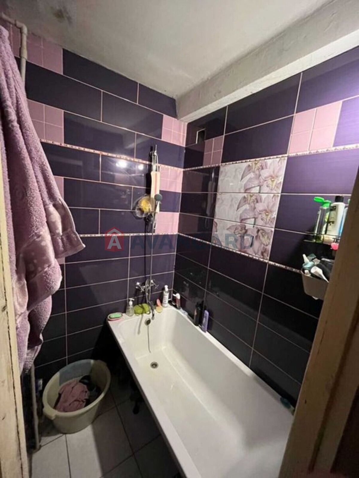 3 ��. ��������, 58/-/6 ��. �., 5/5 ������ ���� 3