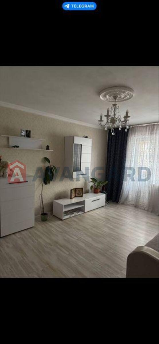 3 ����. ��������, 67/-/10 ��. �., 1/10 ���� ���� 6