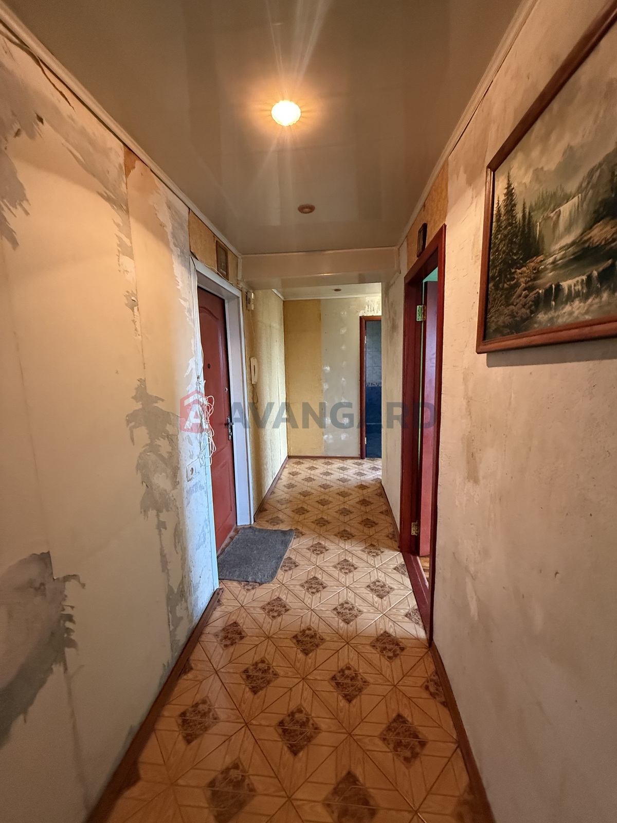 2 ��. ��������, 50/-/8 ��. �., 7/9 ������ ���� 12