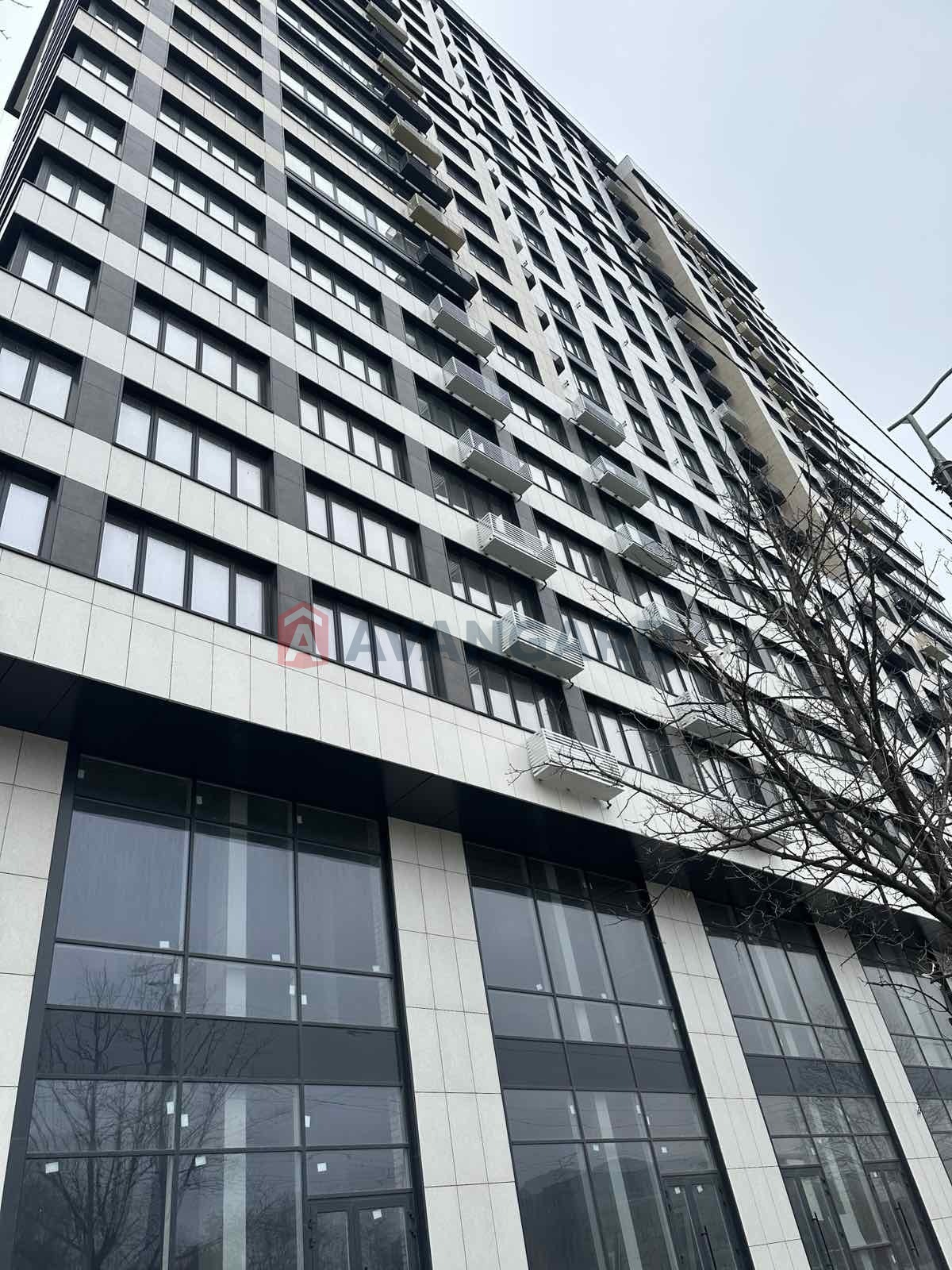 3 . , 95/61/19 . ., 8/24   14