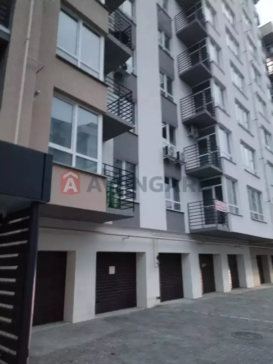 1 ��. ��������, 48/12/16 ��. �., 4/10 ������ ���� 1