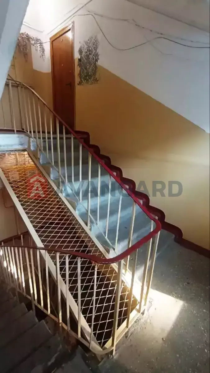 2 ����. ��������, 53/-/7 ��. �., 5/5 ���� ���� 19