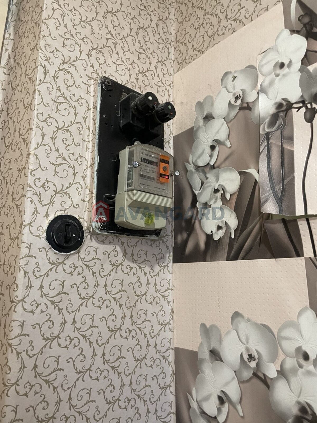 1 ��. ��������, 36/-/8 ��. �., 3/3 ������ ���� 8