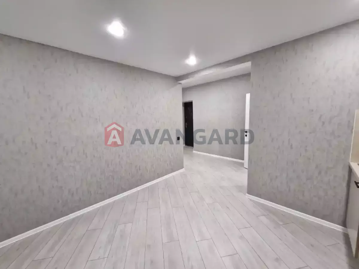 1 ��. ��������, 33/-/12 ��. �., 5/5 ������ ���� 14