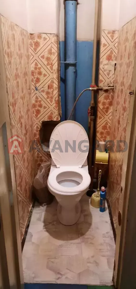 3 ��. ��������, 55/40/5 ��. �., 2/5 ������ ���� 8