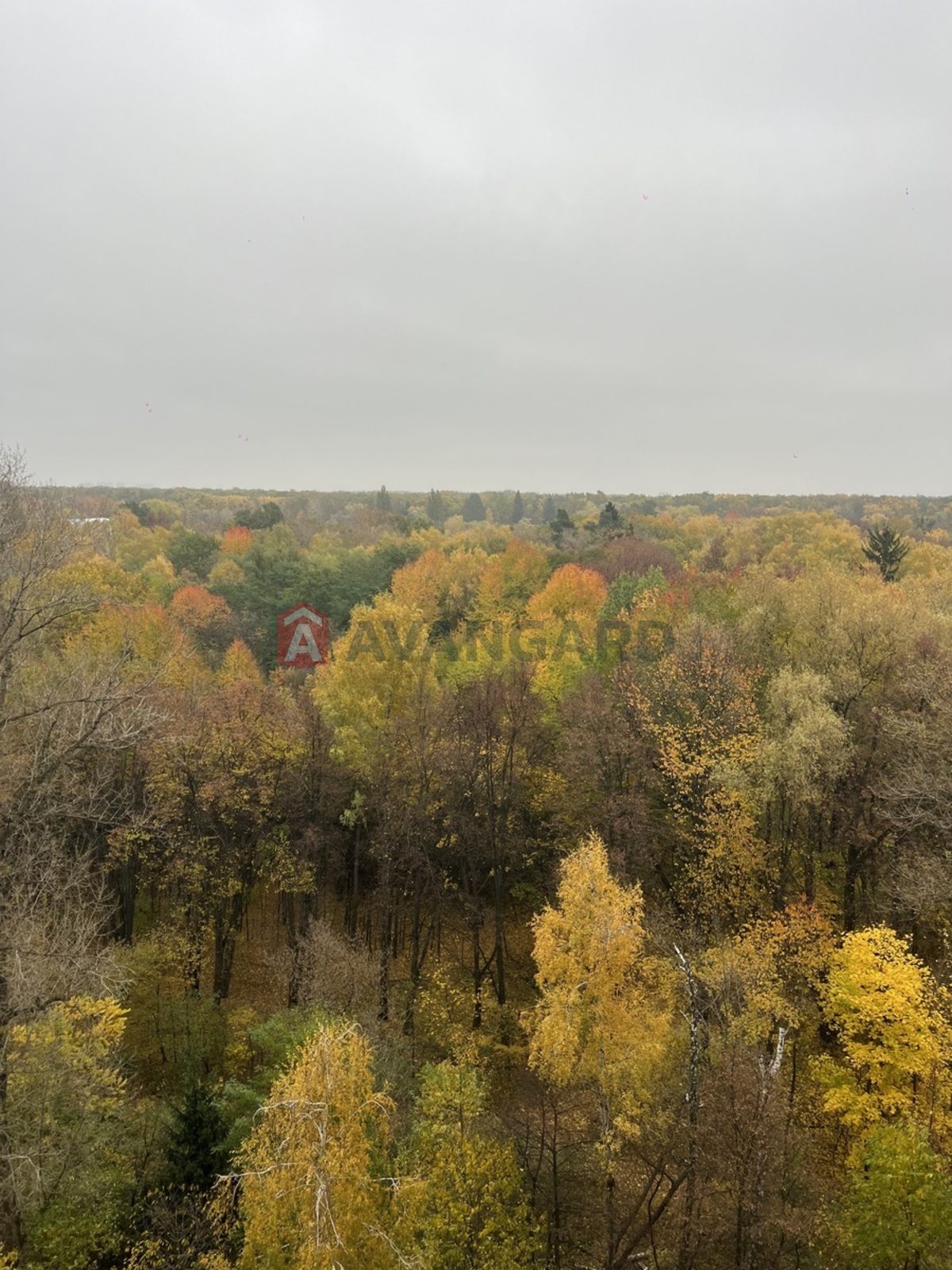 1 ��. ��������, 48/18/18 ��. �., 11/25 ������ ���� 6