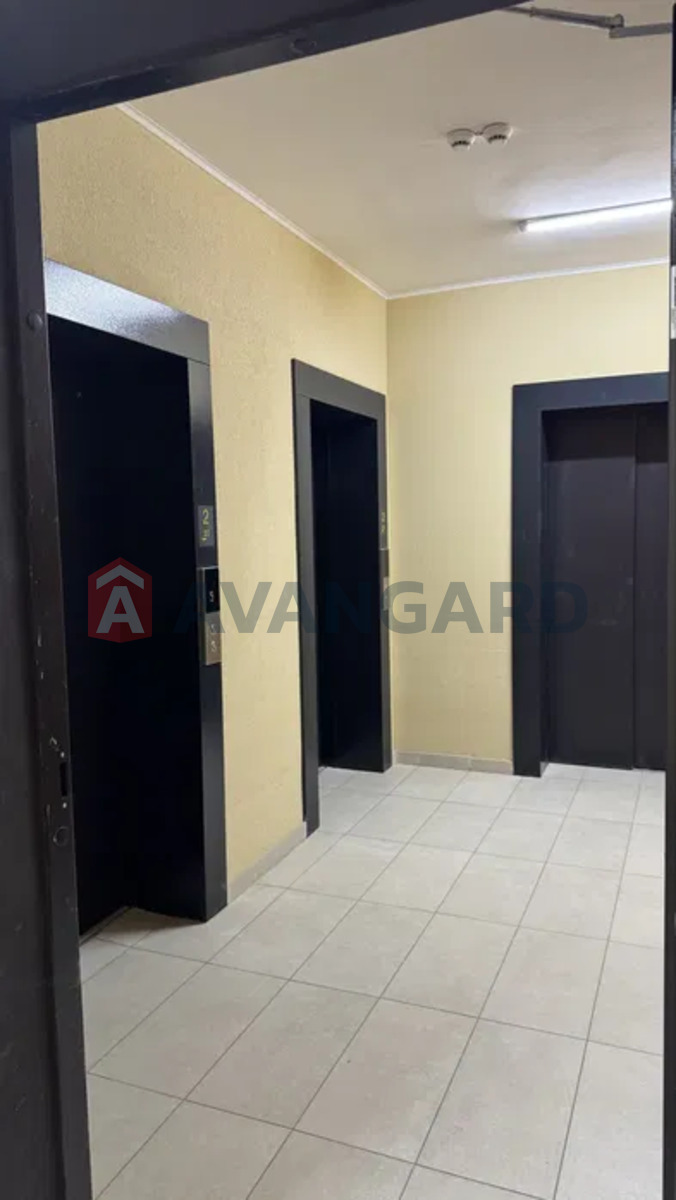 1 ��. ��������, 47/-/15 ��. �., 2/24 ������ ���� 8