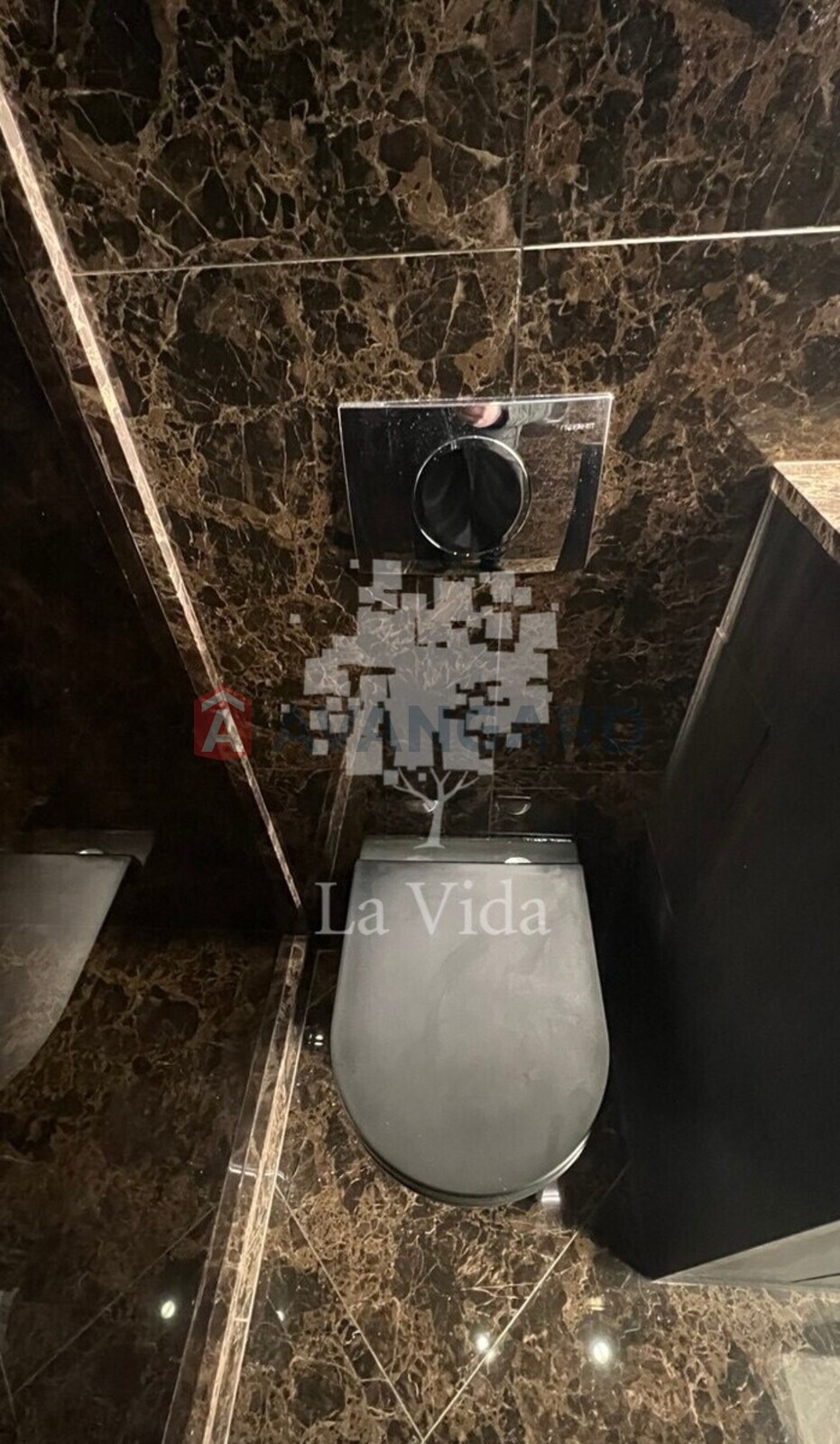 1 ��. ��������, 20/14/3 ��. �., 4/6 ������ ���� 17