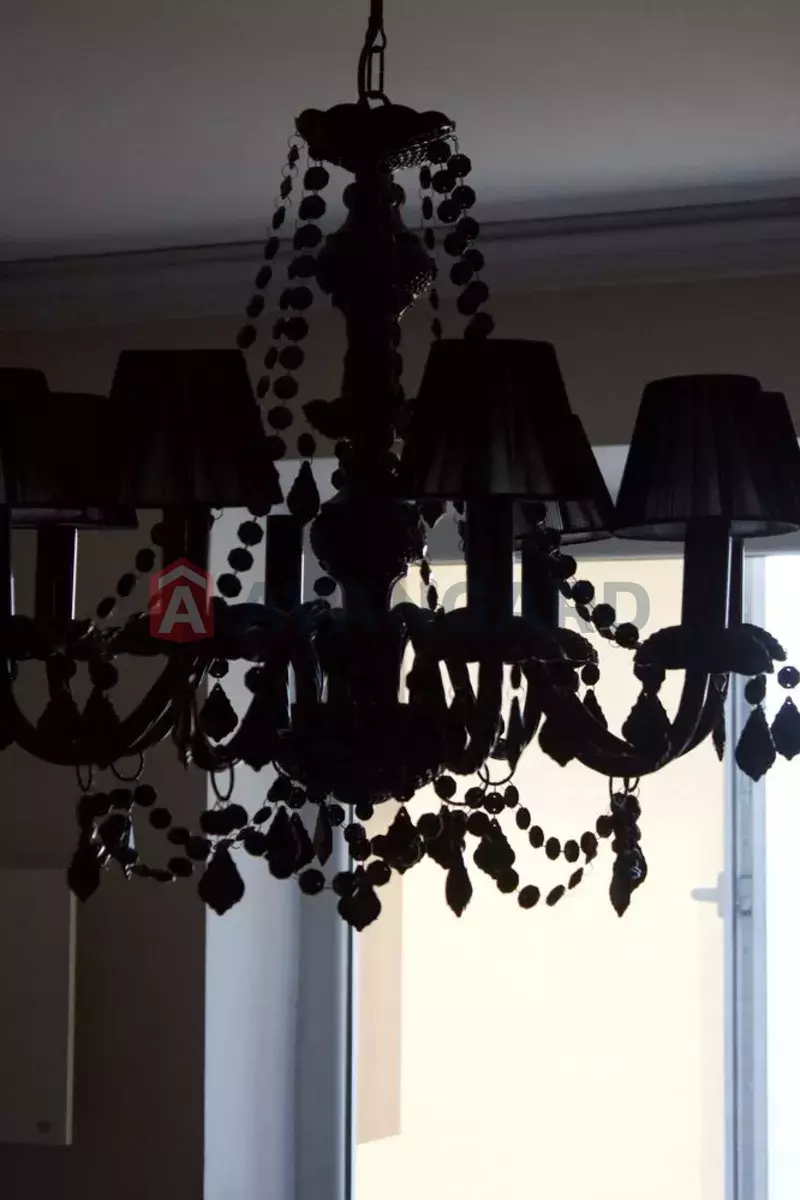 1 . , 34/-/9 . ., 11/16   17