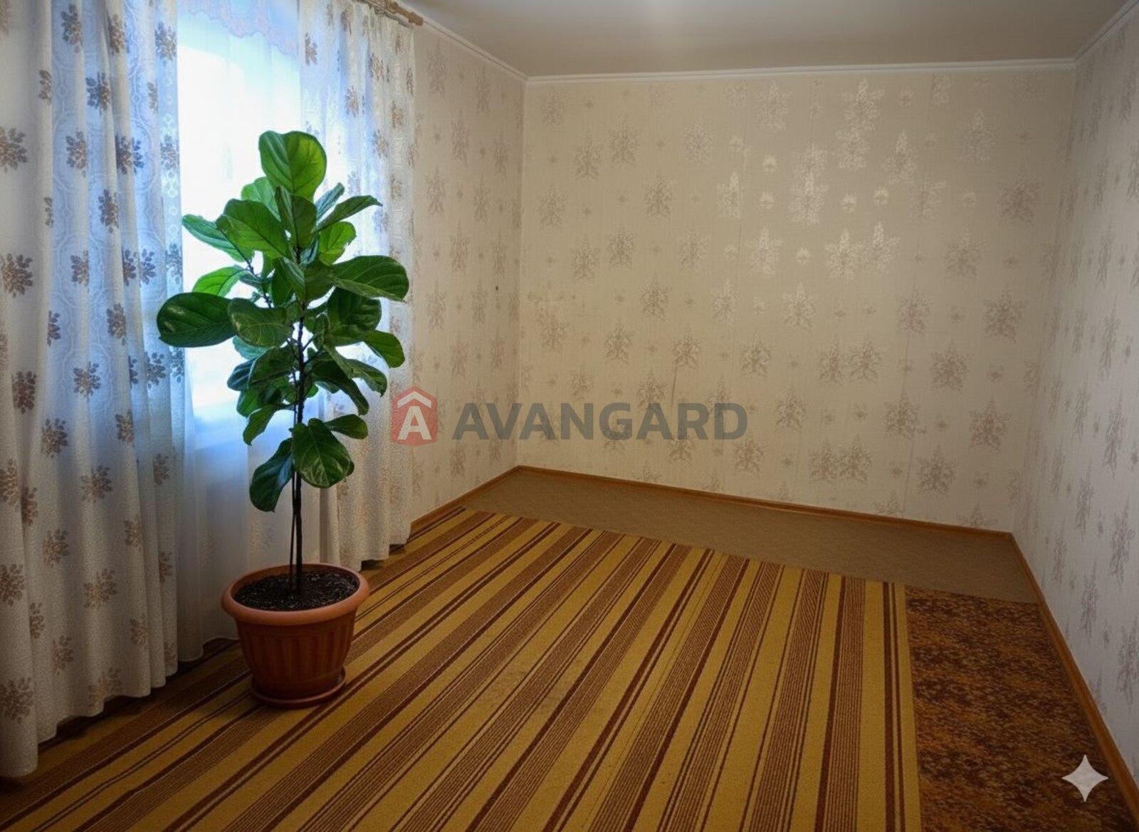 1 . , 30,9/-/5,8 . ., 4/5   3