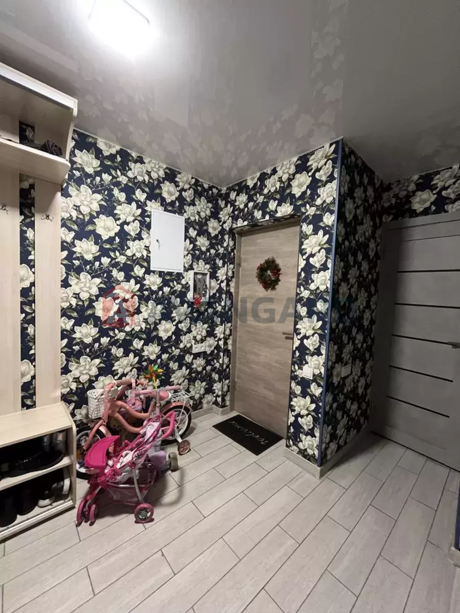 3 ����. ��������, 49/-/4 ��. �., 1/5 ���� ���� 3