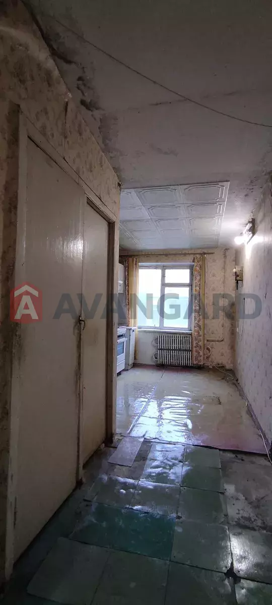 3 ��. ��������, 77/51/9 ��. �., 1/12 ������ ���� 3