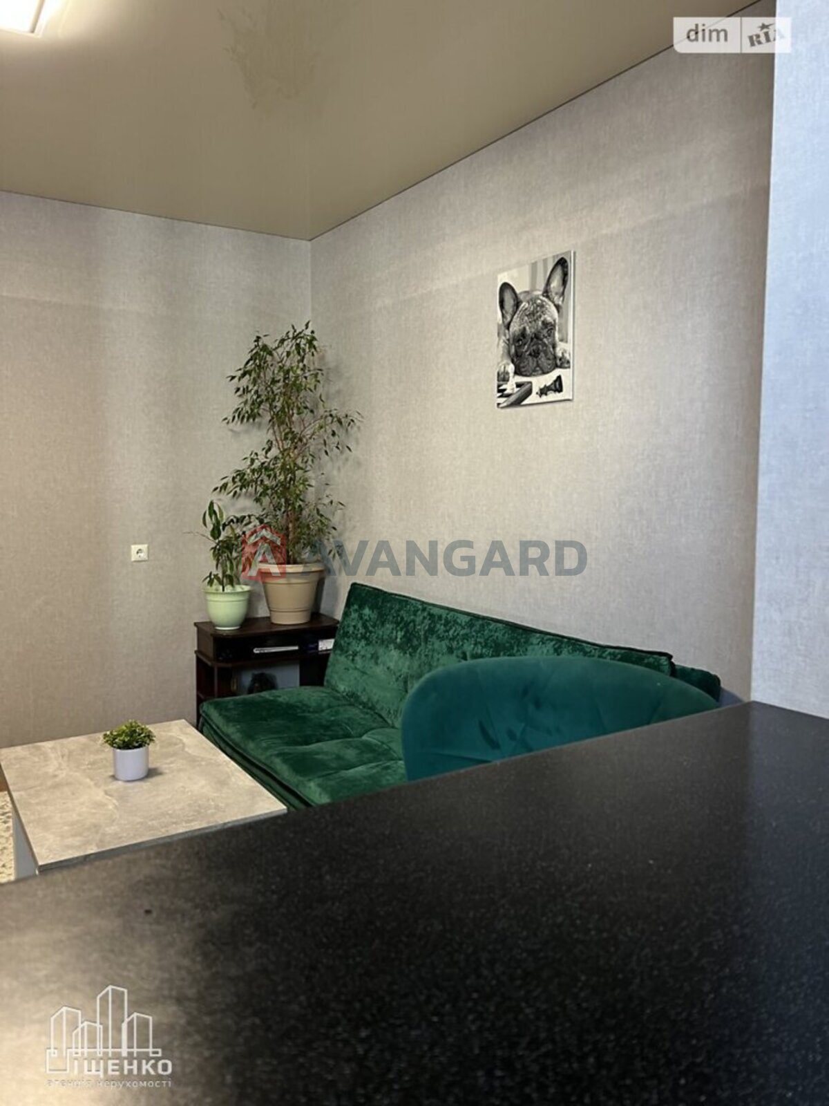 1 ��. ��������, 51/19/19 ��. �., 2/9 ������ ���� 20