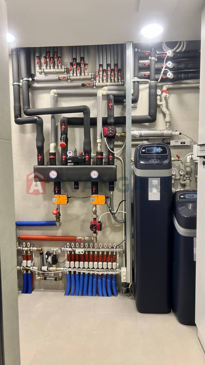 3 ��. ��������, 100/-/- ��. �., 4/5 ������ ���� 20