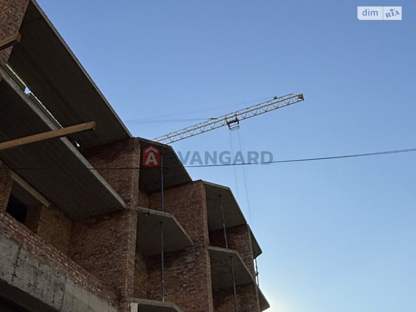 1 ��. ��������, 51/-/- ��. �., 9/10 ������ ���� 8