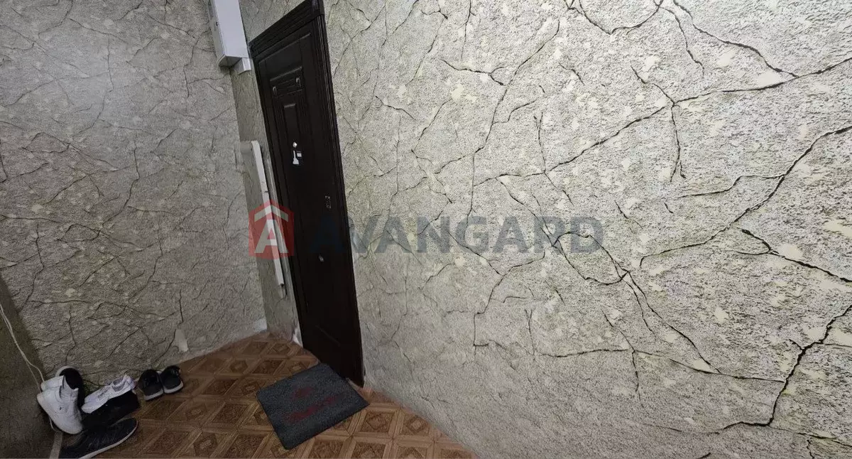 3 ��. ��������, 61/-/8 ��. �., 9/10 ������ ���� 15