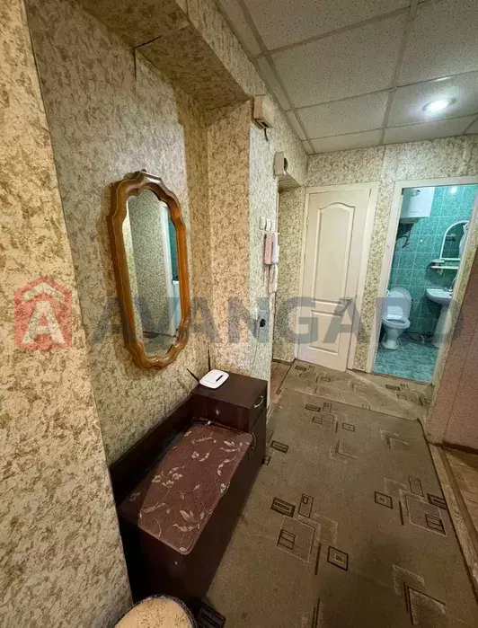 3 ����. ��������, 57/43/6 ��. �., 3/9 ���� ���� 13