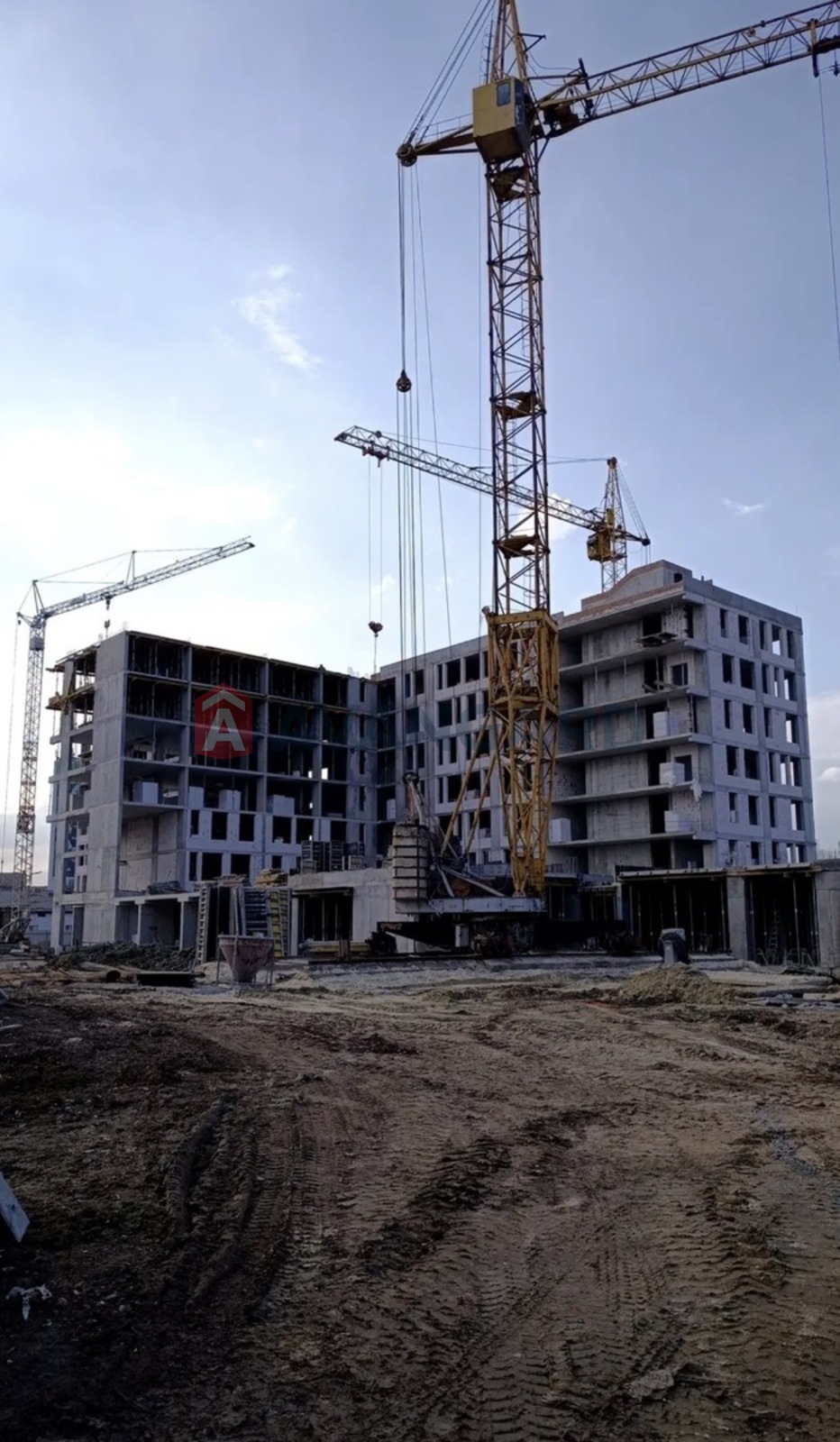 1 ��. ��������, 32/23/8 ��. �., 7/7 ������ ���� 7