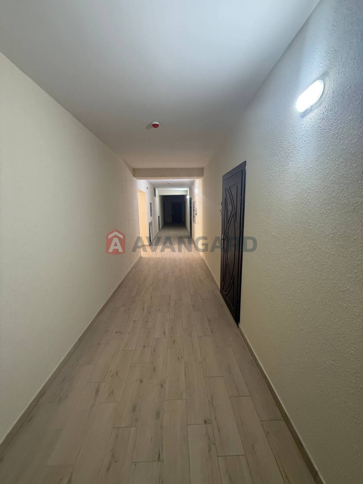 1 ����. ��������, 55/26.8/19.4 ��. �., 2/10 ���� ���� 3