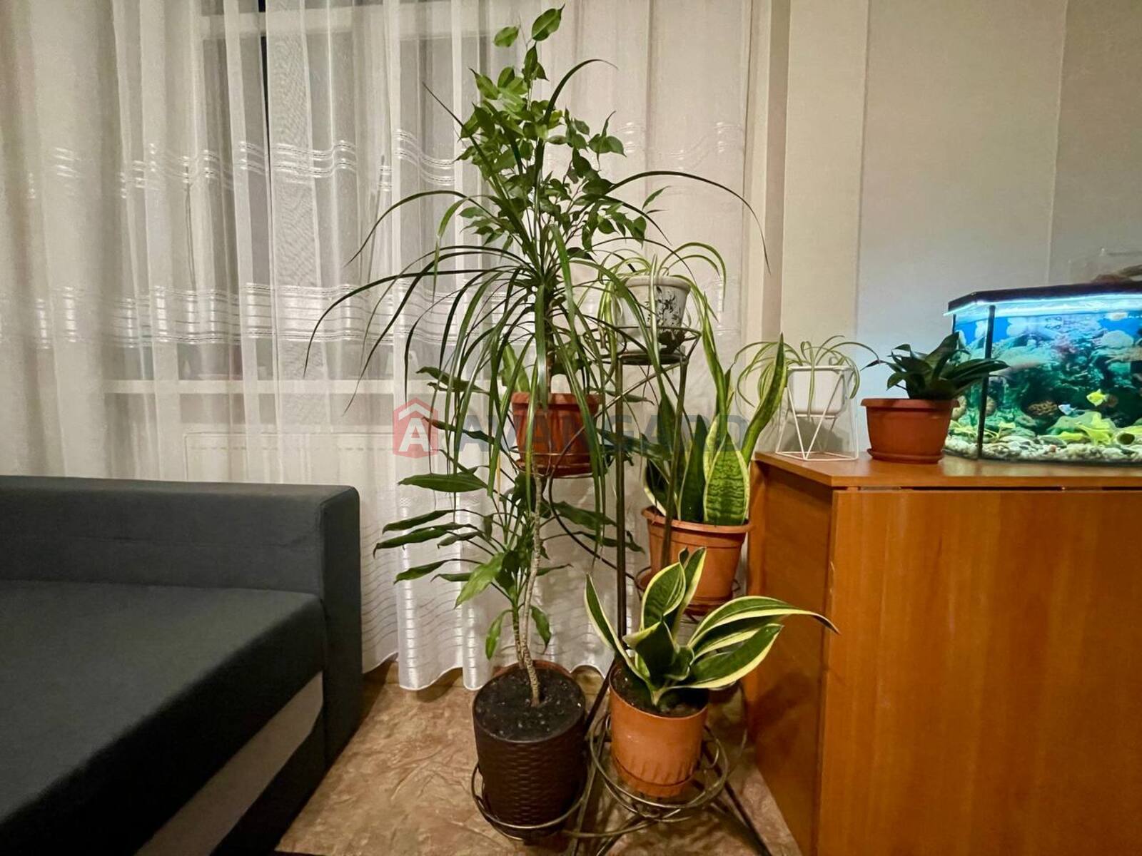 3 . , 56/-/7 . ., 3/3   4