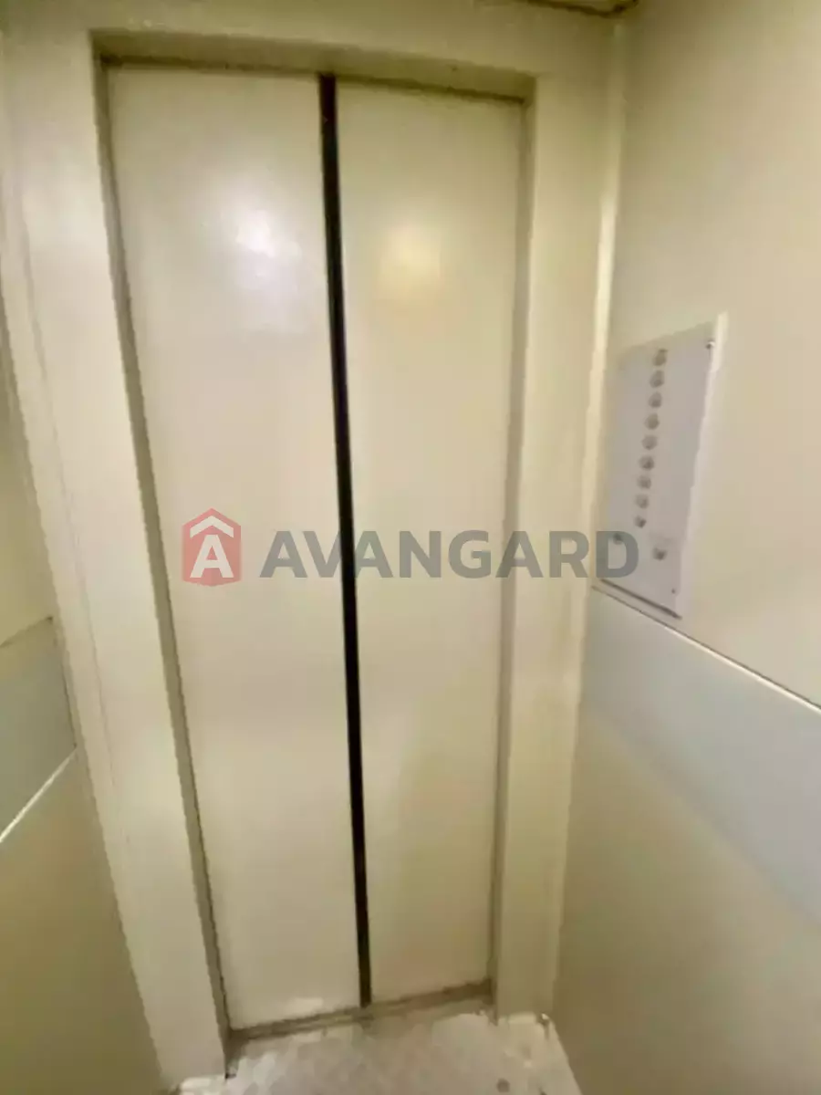 3 ����. ��������, 65/-/8 ��. �., 3/9 ���� ���� 17