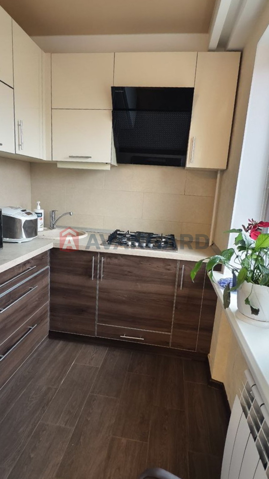 2 ����. ��������, 44/-/6 ��. �., 4/5 ���� ���� 17