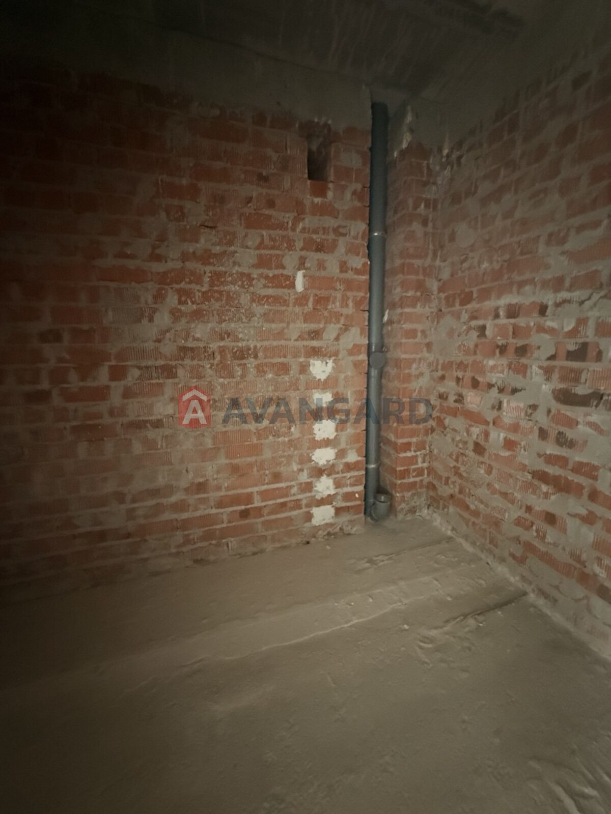3 ��. ��������, 75/-/- ��. �., 9/10 ������ ���� 15