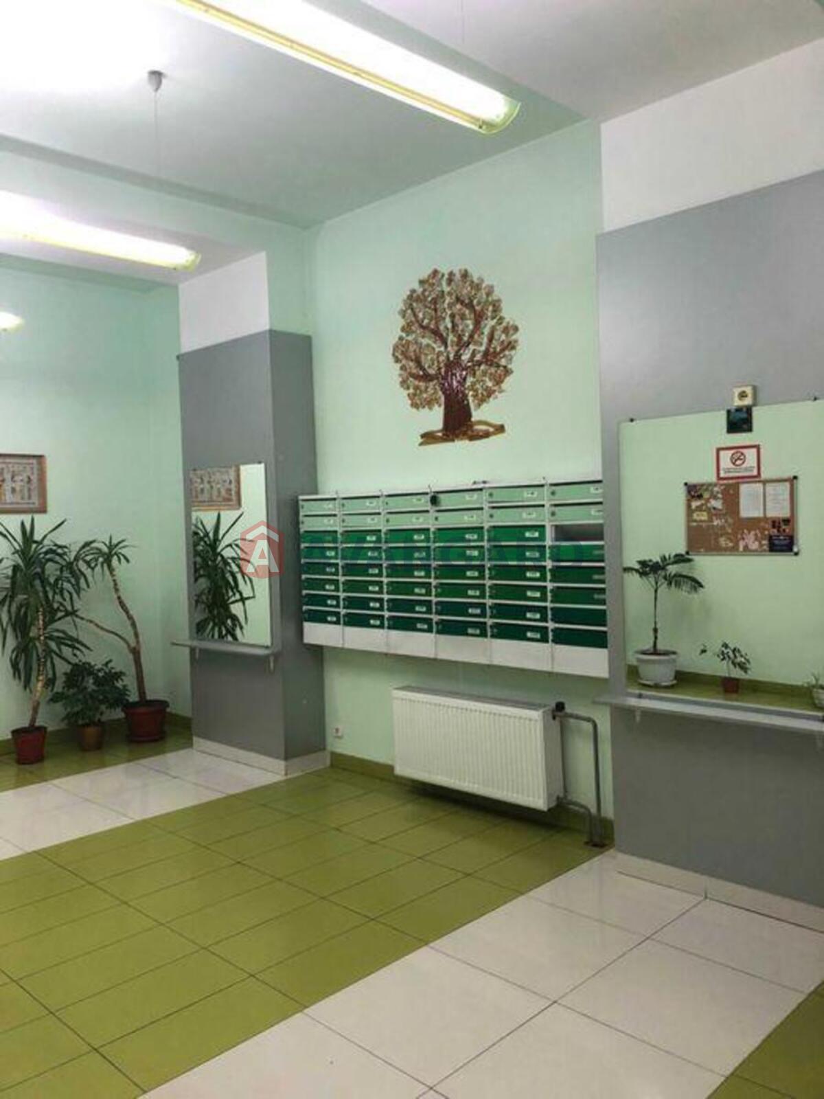 3 ��. ��������, 73/-/9 ��. �., 7/8 ������ ���� 4