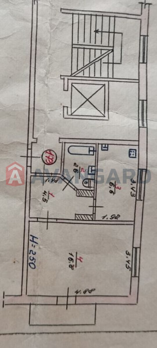 1 ��. ��������, 31/-/6 ��. �., 8/9 ������ ���� 6