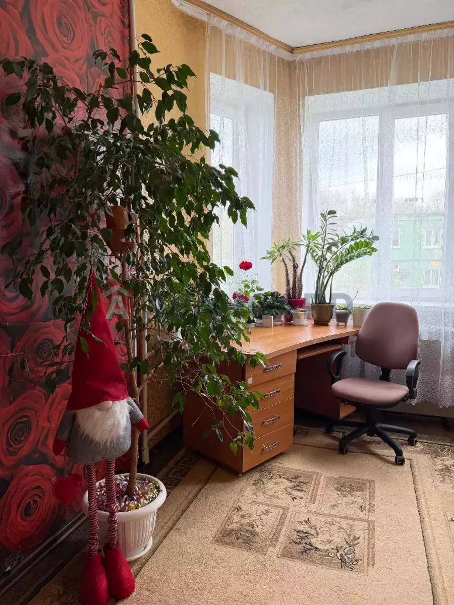 2 ��. ��������, 52/-/- ��. �., 2/2 ������ ���� 7