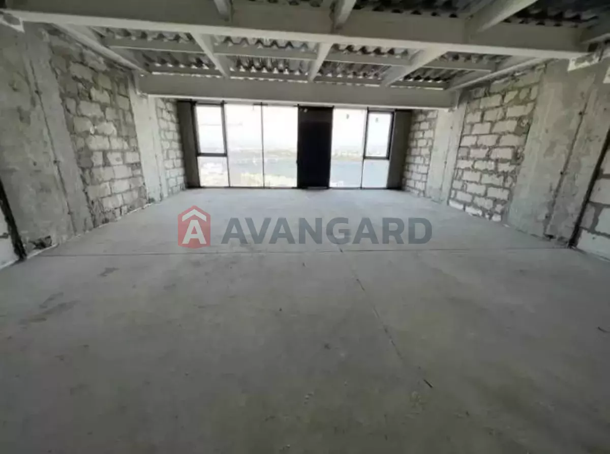 2 ��. ��������, 71/-/- ��. �., 15/18 ������ ���� 3