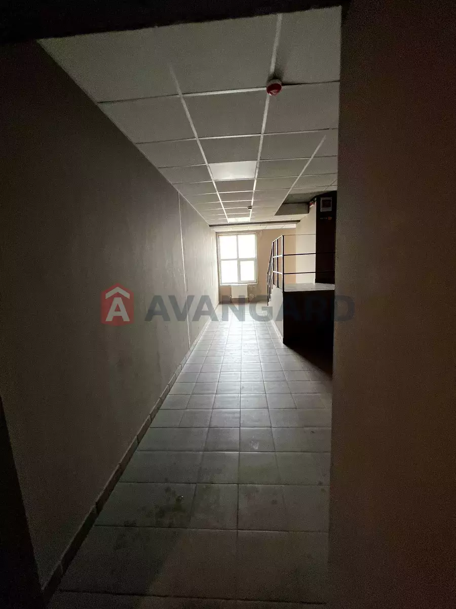 2 ��. ��������, 54/-/20 ��. �., 21/21 ������ ���� 20