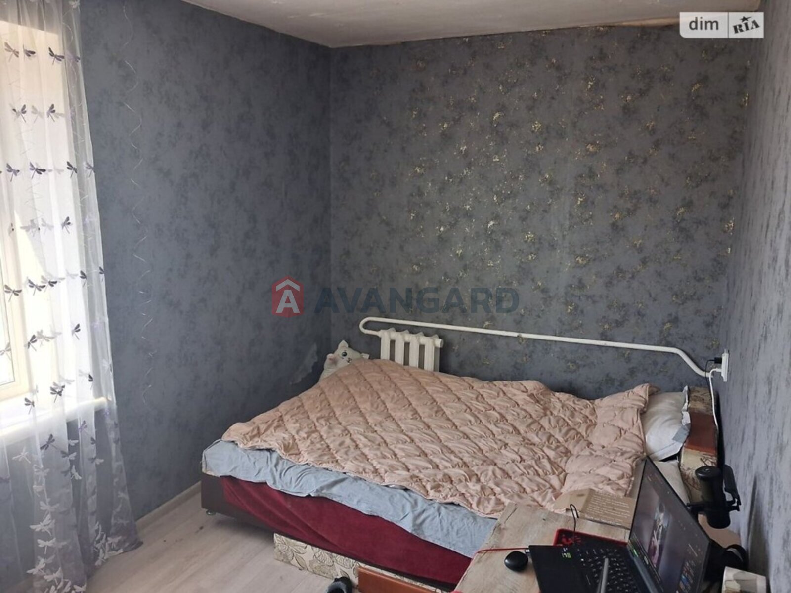 3 ��. ��������, 50/33/5 ��. �., 5/5 ������ ���� 8