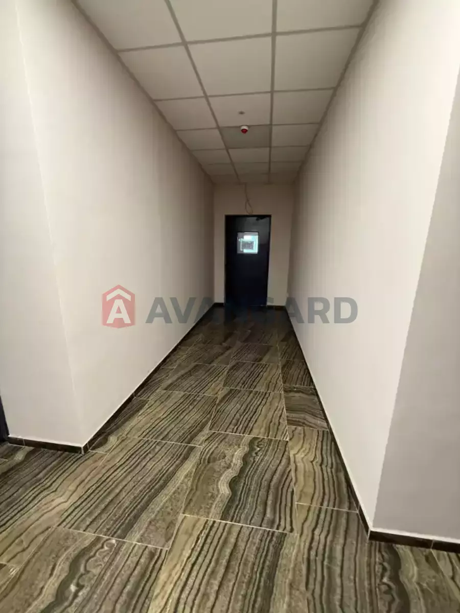 1 ��. ��������, 40/-/- ��. �., 8/19 ������ ���� 13