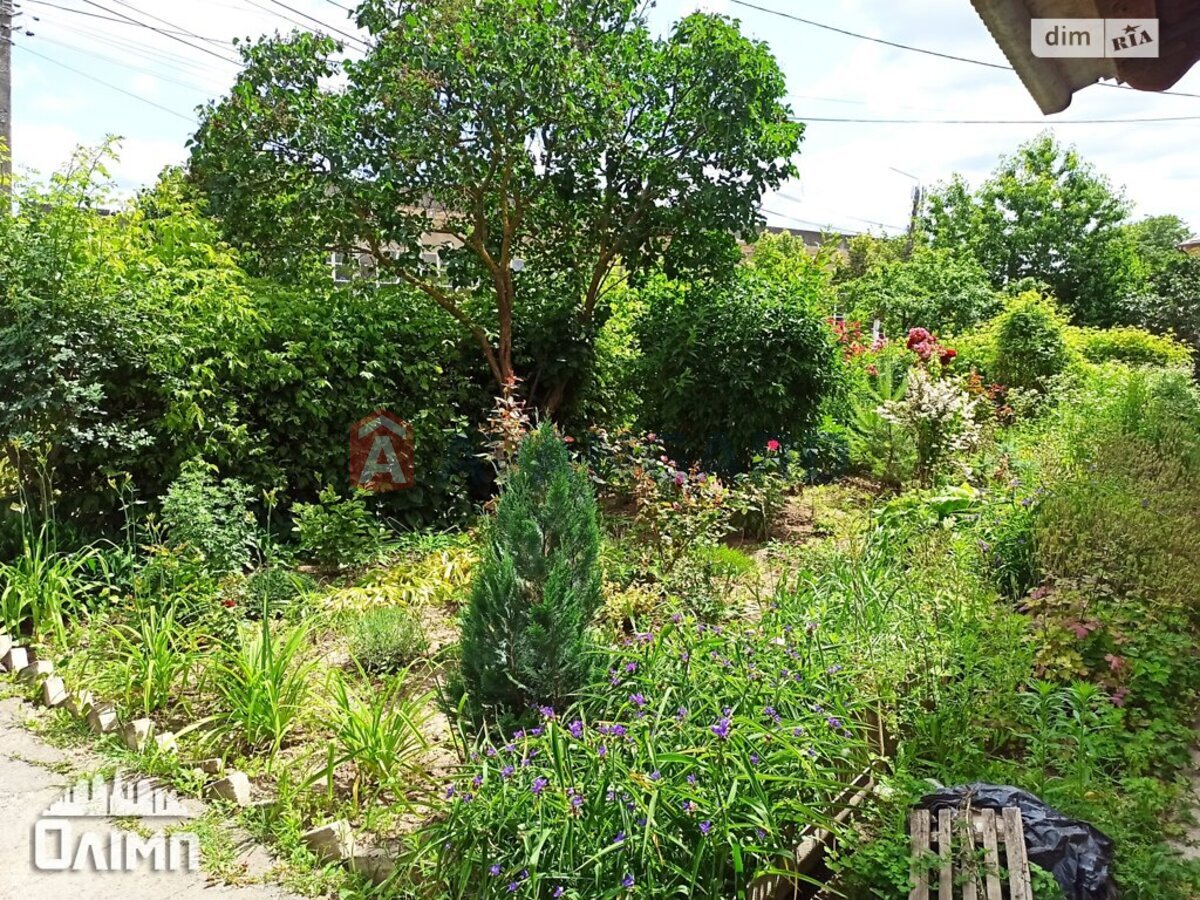 2 ��. ��������, 35/23/7 ��. �., 1/2 ������ ���� 2