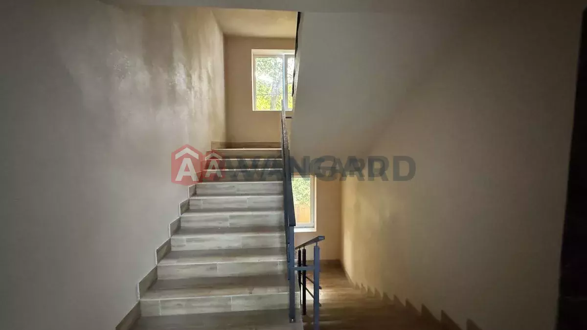 1 ��. ��������, 20/-/- ��. �., 4/4 ������ ���� 11