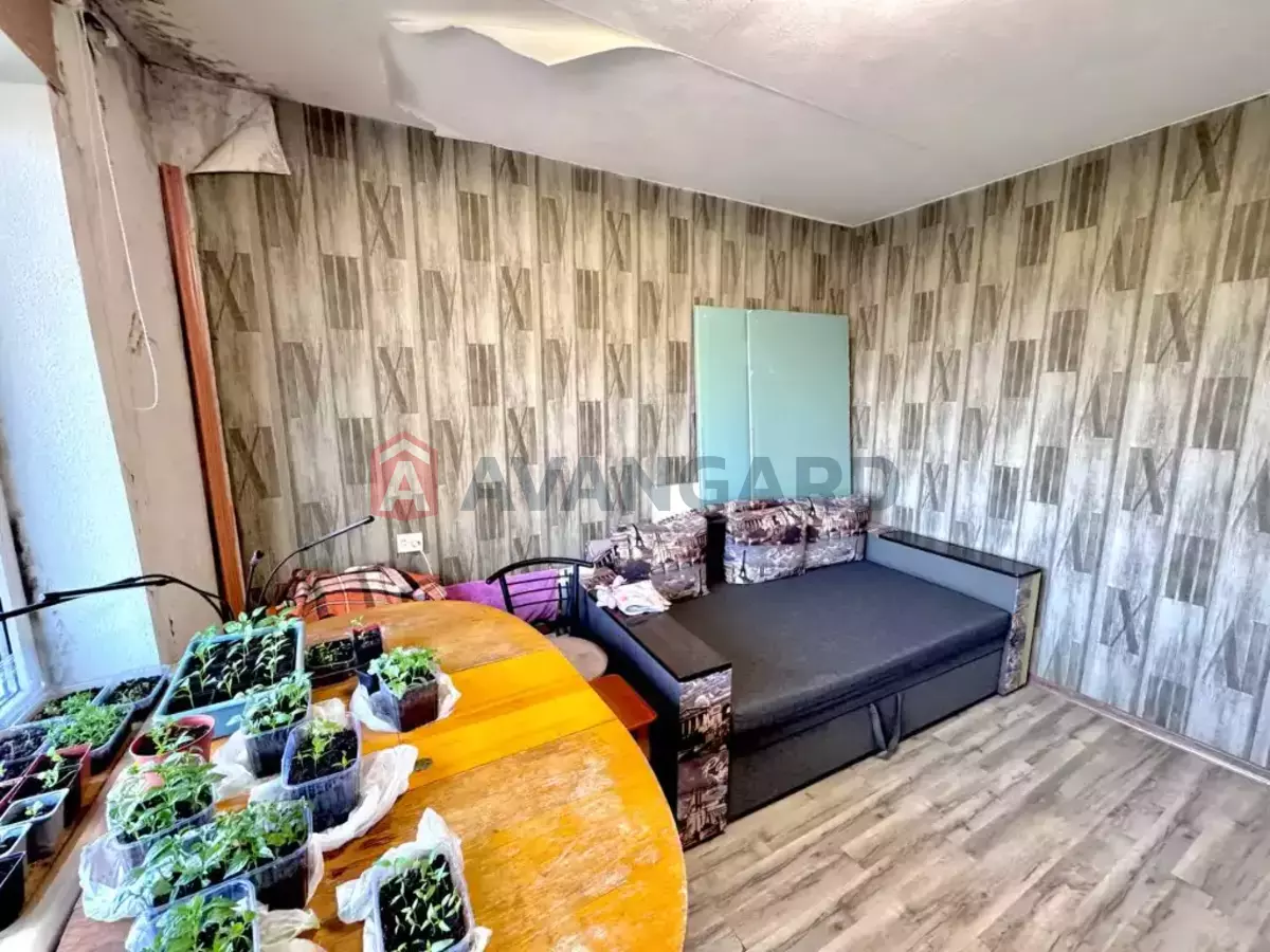 3 ��. ��������, 71/43/8 ��. �., 9/9 ������ ���� 11