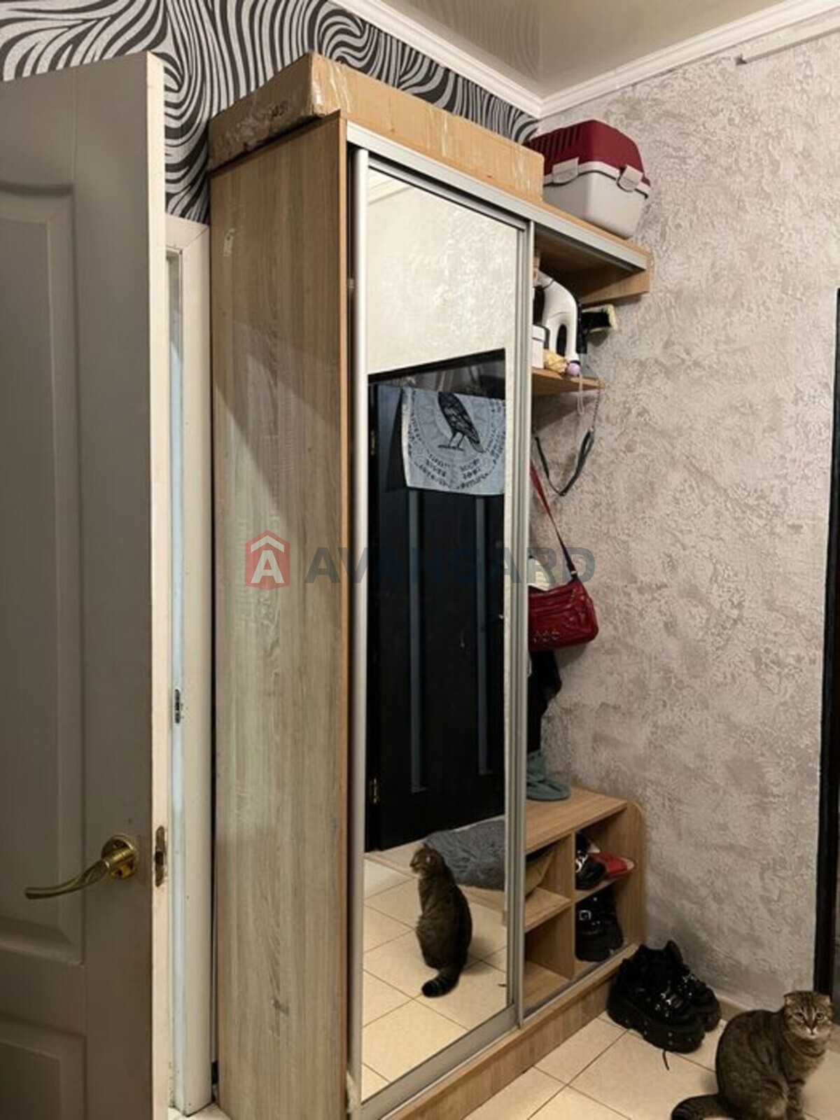 1 . , 38/-/9 . ., 1/2   7