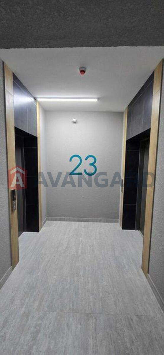 3 ��. ��������, 84/-/15 ��. �., 23/25 ������ ���� 9